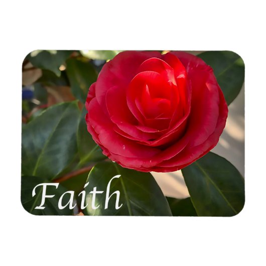 Faith - Red Camellia Bloom Magneet (Horizontaal)