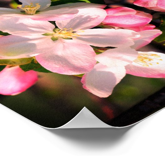 Faith Spring Flower Blossom Abstract Inspirerend Poster