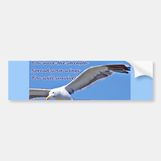 Faith & Strength_ Bumpersticker (Voorkant)