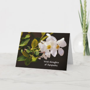 Faith White Blossom Flowers Sympathy Card Kaart