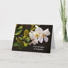 Faith White Blossom Flowers Sympathy Card Kaart