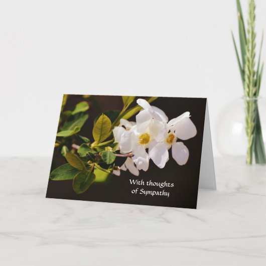 Faith White Blossom Flowers Sympathy Card Kaart (Voorkant)
