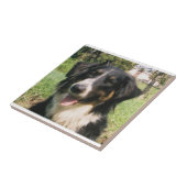 Faithful Finnegan Tegeltje (Zijkant)