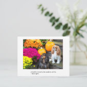 Faithful Friend Cavalier King Charles Briefkaart (Staand voorkant)