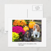 Faithful Friend Cavalier King Charles Briefkaart (Voorkant / Achterkant)