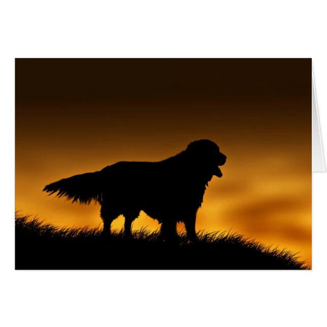 Faithful Golden Retriever (Voorkant Horizontaal)