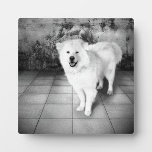 Faithful Love Plaque Fotoplaat