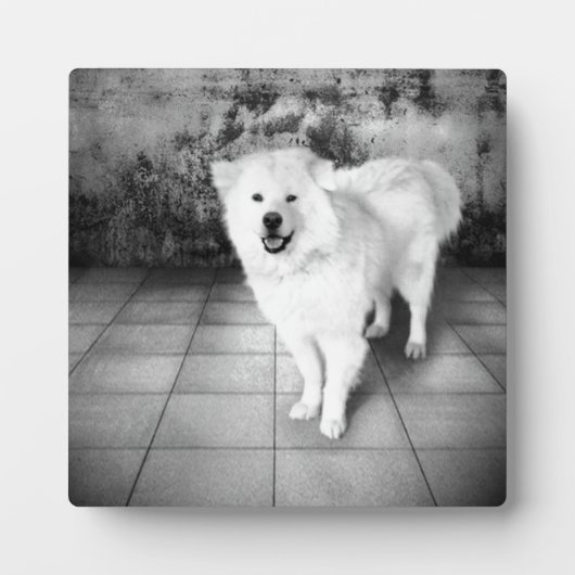 Faithful Love Plaque Fotoplaat (Voorkant)