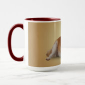 FAITHFUL MOK (Links)