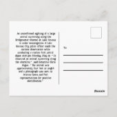 (Fake) Alligator zwemmen bij de London Bridge Briefkaart (Achterkant)