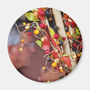Fake Berries Magneet