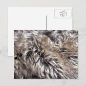 Fake Fur Texture Briefkaart (Voorkant / Achterkant)
