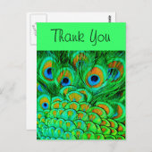 Fake Peacock Feathers Abstract Natuur Patroon Briefkaart (Voorkant / Achterkant)