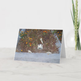 Fake Skeleton In Marigolds Decoratie Foto Kaart