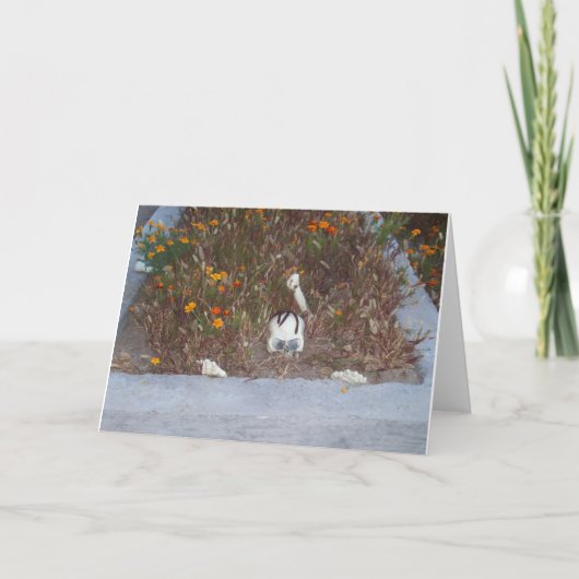 Fake Skeleton In Marigolds Decoratie Foto Kaart (Voorkant)