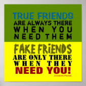 FAKE vs. TRUE ~ 12x12 Poster (Voorkant)