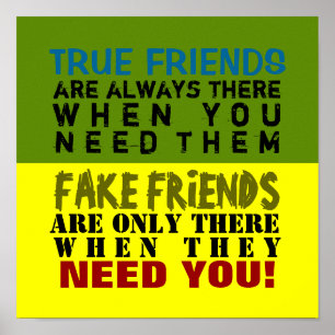 FAKE vs. TRUE ~ 12X12 Poster