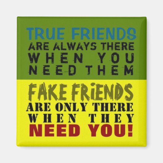 FAKE vs TRUE ~ Magnet Truism (Voorkant)