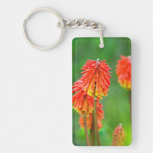 Fakkellelie (Kniphofia Uvaria), Westkaap Sleutelhanger (Voorkant)