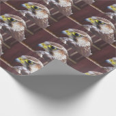 Falco biarmicus cadeaupapier (Hoek)