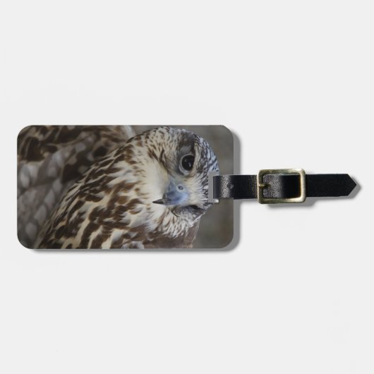 Falco cherrug bagagelabel (Voorkant horizontaal)