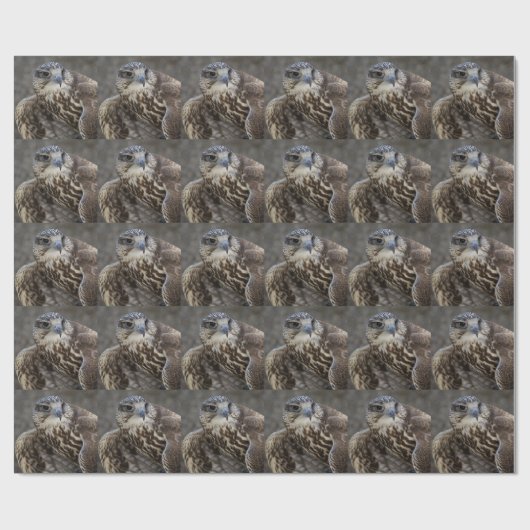 Falco cherrug cadeaupapier (Vlak)