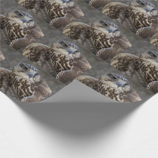 Falco cherrug cadeaupapier (Hoek)