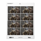 Falco cherrug etiket (Full Sheet)