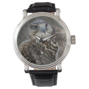 Falco cherrug horloge