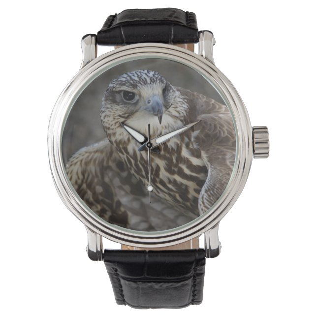 Falco cherrug horloge (Voorkant)