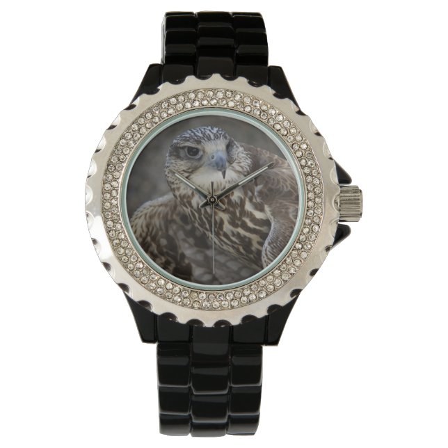 Falco cherrug horloge (Voorkant)