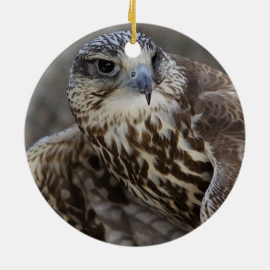 Falco cherrug keramisch ornament (Achterkant)