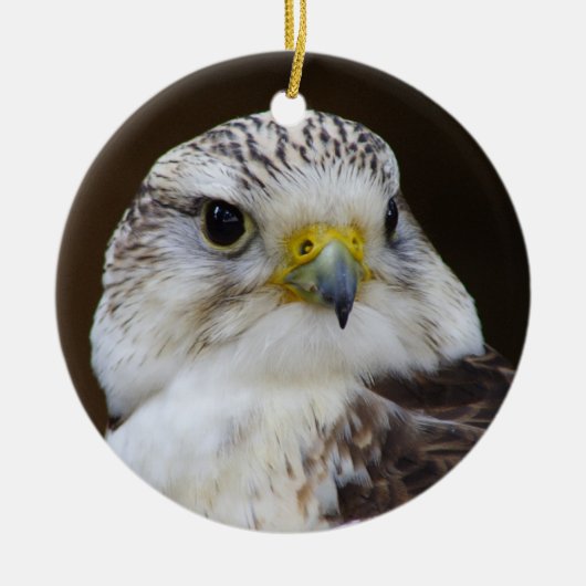 Falco cherrug Portrait Keramisch Ornament (Voorkant)