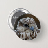 Falco cherrug Portrait Ronde Button 5,7 Cm (Voorkant /achterkant)
