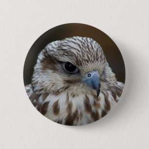 Falco cherrug Portrait Ronde Button 5,7 Cm