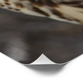 Falco cherrug poster (Hoek)