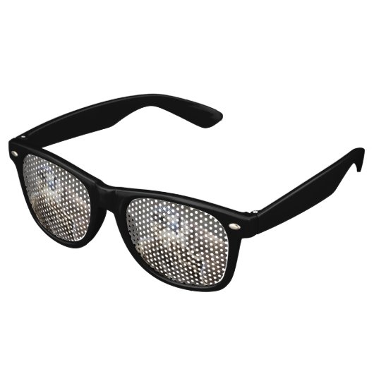 Falco cherrug retro zonnebril (Gekanteld)