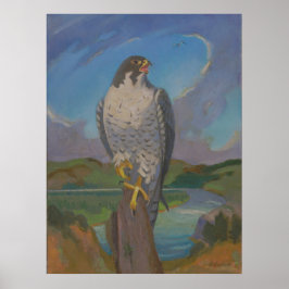 Falco Peregrinus – Peregrine Falcon beroemd gemaak Poster