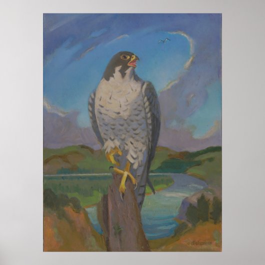 Falco Peregrinus – Peregrine Falcon beroemd gemaak Poster (Voorkant)