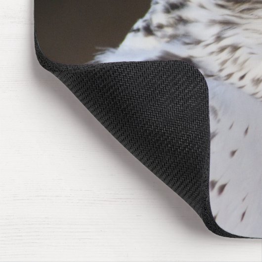 Falco rusticolus muismat (Hoek)