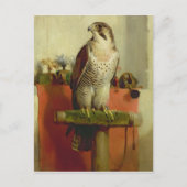 Falcon 1837 briefkaart (Voorkant)