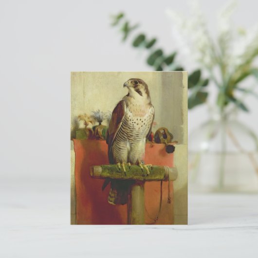 Falcon 1837 briefkaart (Staand voorkant)