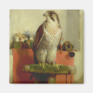 Falcon 1837 magneet