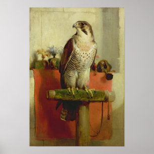 Falcon 1837 poster