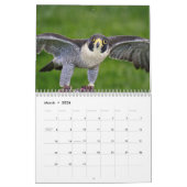 Falcon 2026 kalender (Mar 2026)