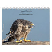 Falcon 2026 kalender (Hoes)