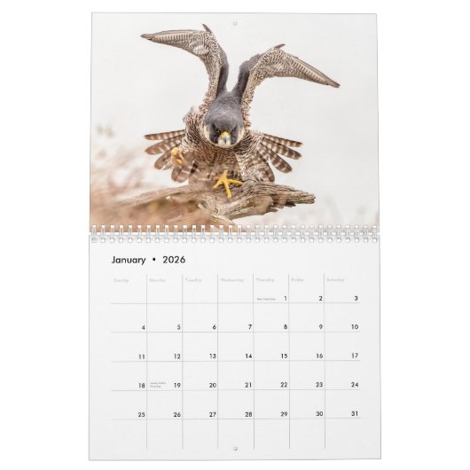 Falcon 2026 kalender (Jan 2026)