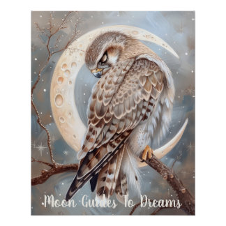 Falcon bird baby slapen op de maan perfect poster