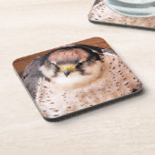 FALCON BIRD VAN PREY BIER ONDERZETTER (Linkerzijde)