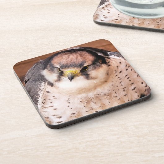 FALCON BIRD VAN PREY BIER ONDERZETTER (Linkerzijde)